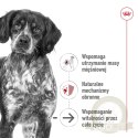 ROYAL CANIN Medium Ageing 10+ 15kg