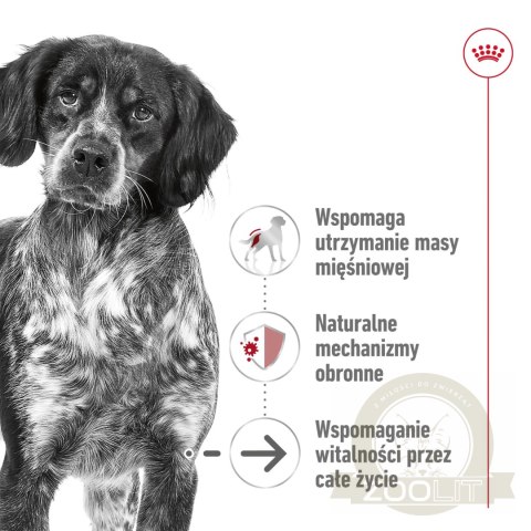 ROYAL CANIN Medium Ageing 10+ 15kg ROYAL CANIN Medium Ageing 10+ 15kg