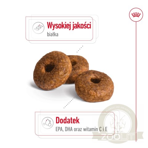 ROYAL CANIN Medium Ageing 10+ 15kg ROYAL CANIN Medium Ageing 10+ 15kg