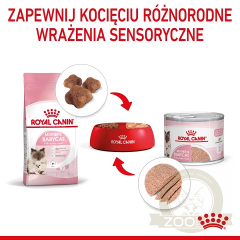 ROYAL CANIN Mother & Babycat Ultra Soft Mousse 195g ROYAL CANIN Mother & Babycat Ultra Soft Mousse 195g