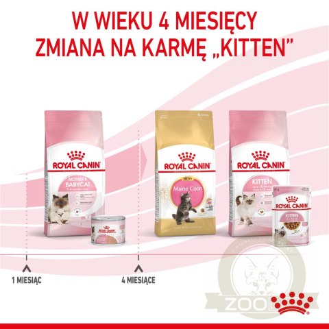 ROYAL CANIN Mother & Babycat Ultra Soft Mousse 195g ROYAL CANIN Mother & Babycat Ultra Soft Mousse 195g