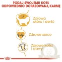 ROYAL CANIN Ragdoll Adult 400g