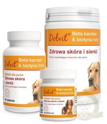Dolfos Dolvit Beta Karoten & Biotyna Forte 90 Tabletek Dolfos Dolvit Beta Karoten & Biotyna Forte 90 Tabletek