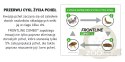 FRONTLINE Combo Spot-On Dla Psa 3x1,34ml