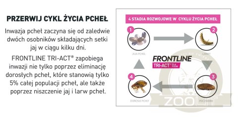 FRONTLINE Tri-Act Dla Psów 3x4ml FRONTLINE Tri-Act Dla Psów 3x4ml
