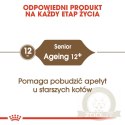 ROYAL CANIN Ageing +12 400g