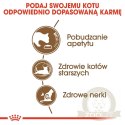 ROYAL CANIN Ageing +12 400g