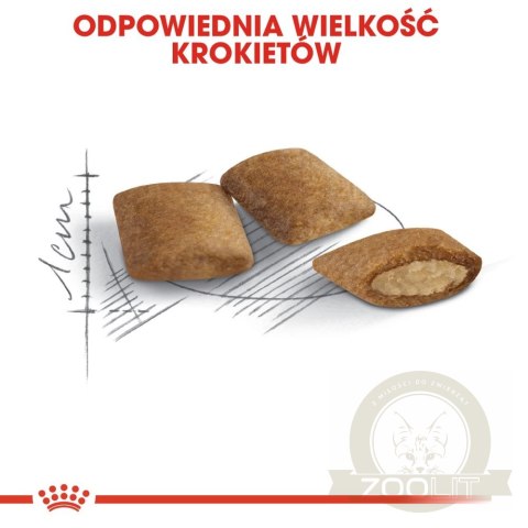 ROYAL CANIN Ageing +12 400g ROYAL CANIN Ageing +12 400g
