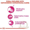 ROYAL CANIN Aroma Exigent 400g
