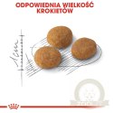 ROYAL CANIN Aroma Exigent 400g
