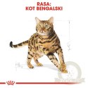 ROYAL CANIN Bengal Adult 10kg