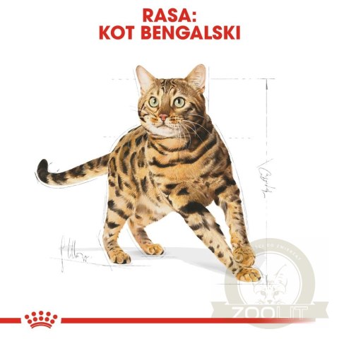 ROYAL CANIN Bengal Adult 2kg ROYAL CANIN Bengal Adult 2kg