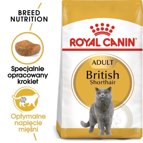 ROYAL CANIN British Shorthair Adult 10kg ROYAL CANIN British Shorthair Adult 10kg
