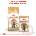 ROYAL CANIN British Shorthair Adult 10kg