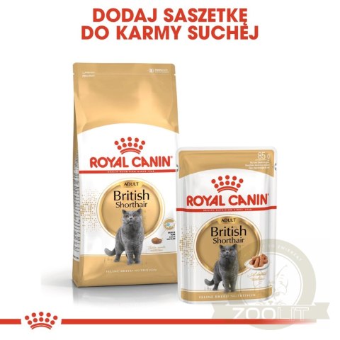 ROYAL CANIN British Shorthair Adult 10kg ROYAL CANIN British Shorthair Adult 10kg