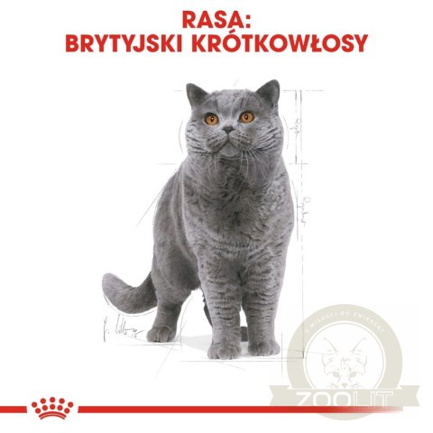 ROYAL CANIN British Shorthair Adult 2kg ROYAL CANIN British Shorthair Adult 2kg
