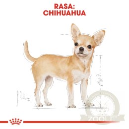 ROYAL CANIN Chihuahua Adult 1,5kg