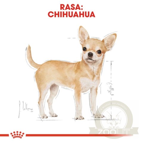 ROYAL CANIN Chihuahua Adult 500g ROYAL CANIN Chihuahua Adult 500g
