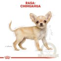 ROYAL CANIN Chihuahua Puppy 1,5kg