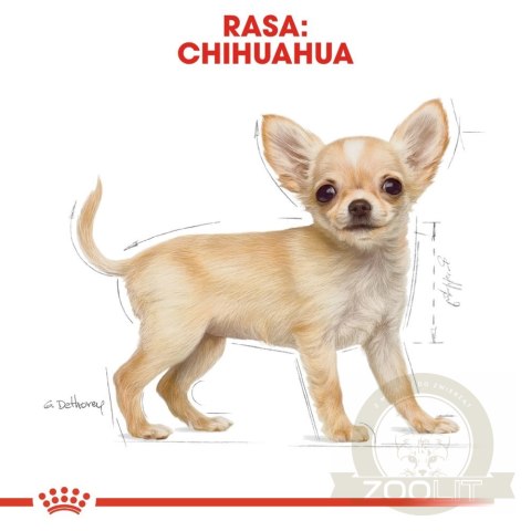ROYAL CANIN Chihuahua Puppy 1,5kg ROYAL CANIN Chihuahua Puppy 1,5kg