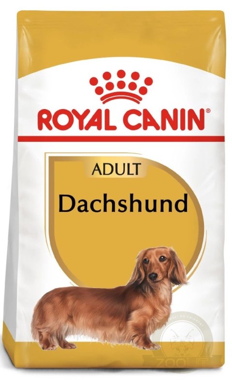 ROYAL CANIN Dachshund Adult 1,5kg ROYAL CANIN Dachshund Adult 1,5kg