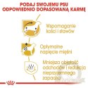 ROYAL CANIN Dachshund Adult 1,5kg