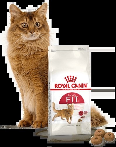 ROYAL CANIN Fit 32 2kg ROYAL CANIN Fit 32 2kg