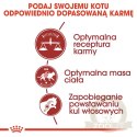 ROYAL CANIN Fit 32 2kg