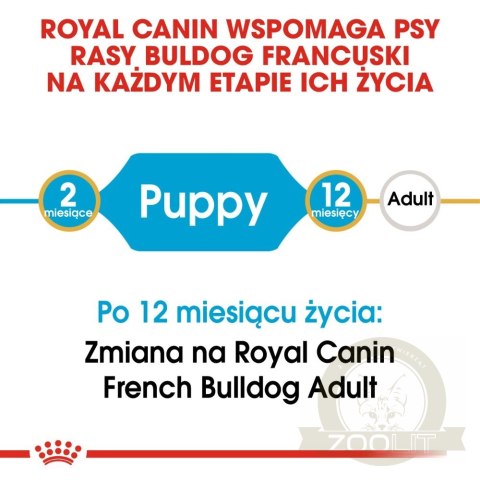 ROYAL CANIN French Bulldog Puppy 3kg ROYAL CANIN French Bulldog Puppy 3kg
