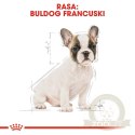 ROYAL CANIN French Bulldog Puppy 3kg