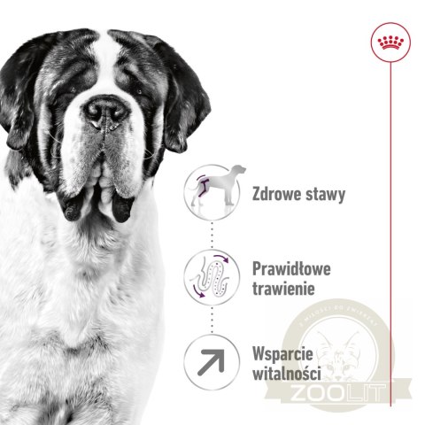 ROYAL CANIN Giant Adult 15kg ROYAL CANIN Giant Adult 15kg
