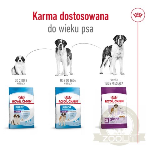 ROYAL CANIN Giant Adult 15kg ROYAL CANIN Giant Adult 15kg