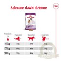 ROYAL CANIN Giant Adult 15kg