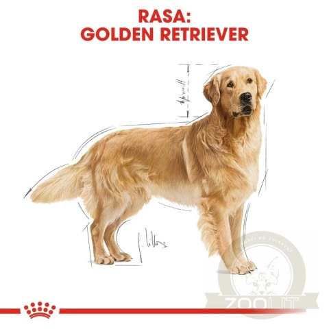 ROYAL CANIN Golden Retriever Adult 12kg ROYAL CANIN Golden Retriever Adult 12kg