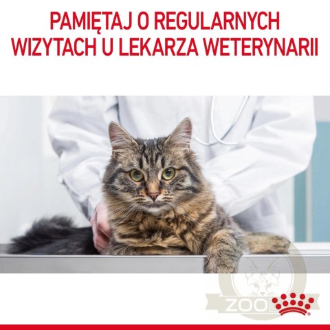 ROYAL CANIN Hairball Care 4kg ROYAL CANIN Hairball Care 4kg