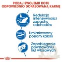 ROYAL CANIN Indoor 27 2kg