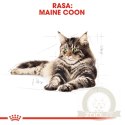 ROYAL CANIN Maine Coon Adult 2kg