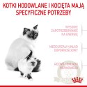 ROYAL CANIN Mother & Baby Cat 400g