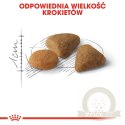ROYAL CANIN Savour Exigent 10kg