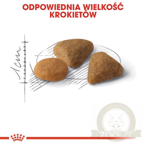 ROYAL CANIN Savour Exigent 10kg ROYAL CANIN Savour Exigent 10kg
