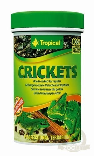 Tropical Crickets 100ml Tropical Crickets 100ml