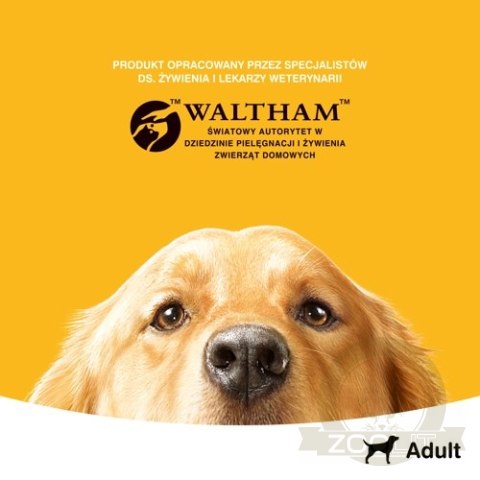 Pedigree Mokra Karma Dla Dorosłych Psów Z Wołowiną W Galarecie Puszka 400g Pedigree Mokra Karma Dla Dorosłych Psów Z Wołowiną W Galarecie Puszka 400g