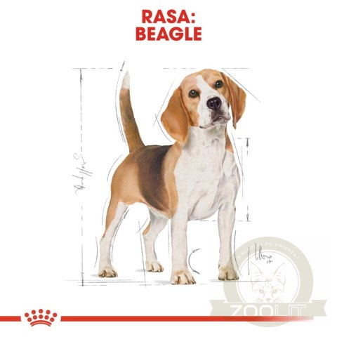 ROYAL CANIN Beagle Adult 12kg ROYAL CANIN Beagle Adult 12kg