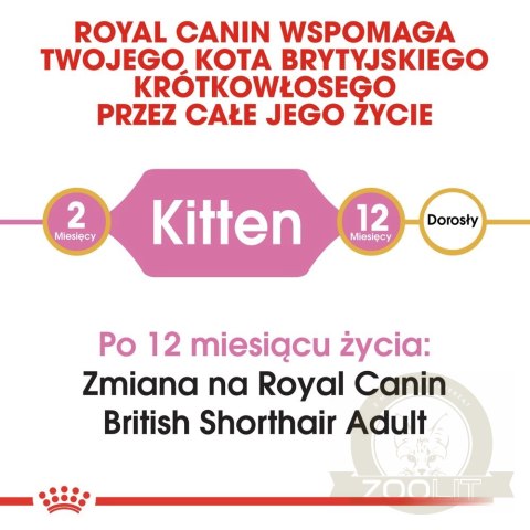 ROYAL CANIN British Shorthair Kitten 2kg ROYAL CANIN British Shorthair Kitten 2kg