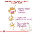 ROYAL CANIN British Shorthair Kitten 2kg