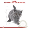ROYAL CANIN British Shorthair Kitten 2kg