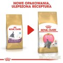 ROYAL CANIN British Shorthair Kitten 2kg