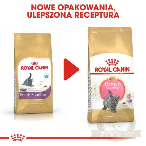 ROYAL CANIN British Shorthair Kitten 2kg ROYAL CANIN British Shorthair Kitten 2kg