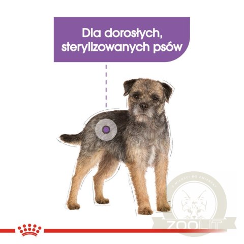 ROYAL CANIN CCN Mini Sterilised 8kg ROYAL CANIN CCN Mini Sterilised 8kg