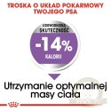 ROYAL CANIN CCN Mini Sterilised 8kg